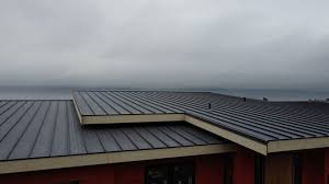 Best Metal Roofing Installation  in Columbus Junction, IA